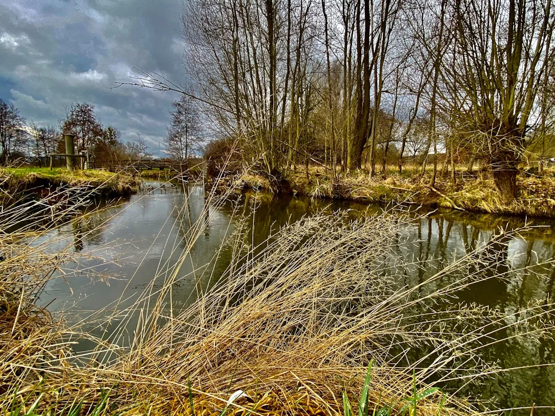 Weekendje Toverland: Wat is er te doen in de omgeving van Sevenum?